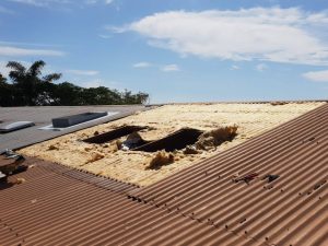 Damaged Roof in Sunshine Coast.