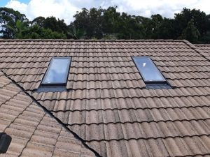 Skylights in Brown Roof.