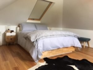 IMG_0026-300×225 Bed in Attic.