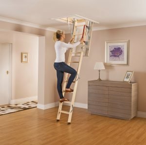 Ladder Girl Climbing.