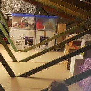 Attic Storage.