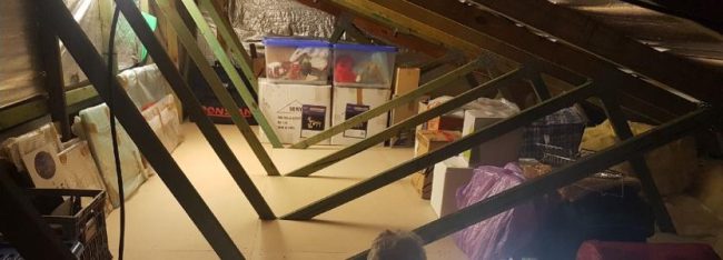 Roof-Storage-Solutions-resized Attic Storage.